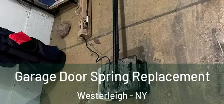  Garage Door Spring Replacement Westerleigh - NY