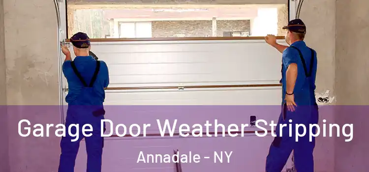  Garage Door Weather Stripping Annadale - NY
