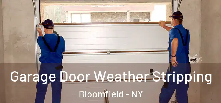  Garage Door Weather Stripping Bloomfield - NY