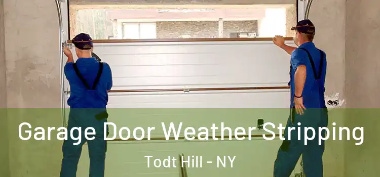  Garage Door Weather Stripping Todt Hill - NY