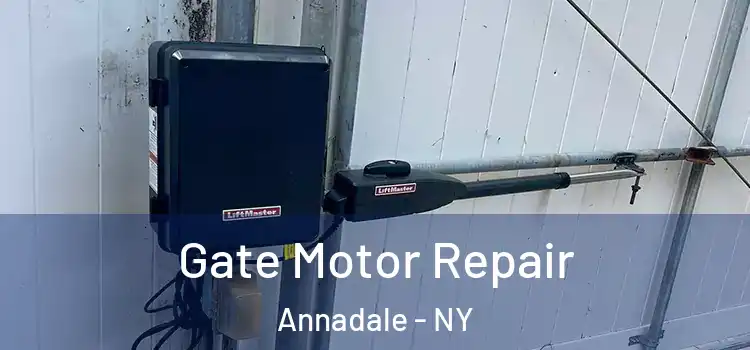  Gate Motor Repair Annadale - NY