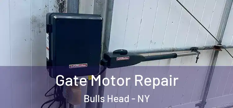 Gate Motor Repair Bulls Head - NY