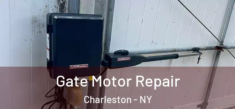  Gate Motor Repair Charleston - NY