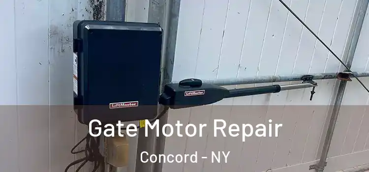  Gate Motor Repair Concord - NY