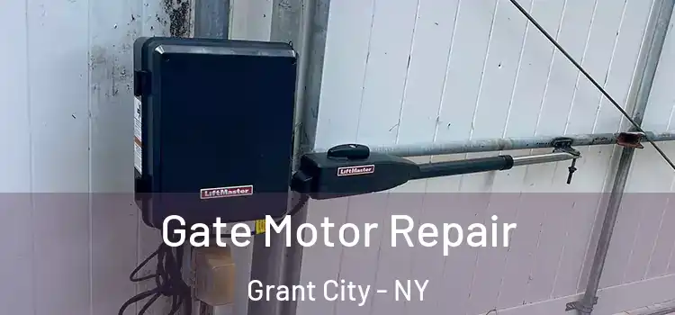 Gate Motor Repair Grant City - NY