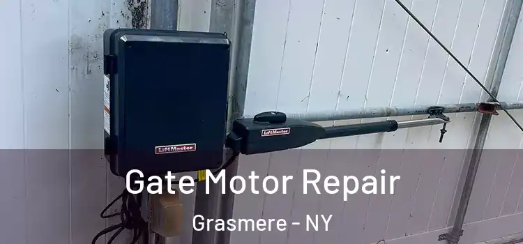  Gate Motor Repair Grasmere - NY