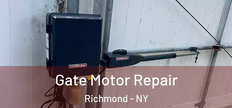  Gate Motor Repair Richmond - NY