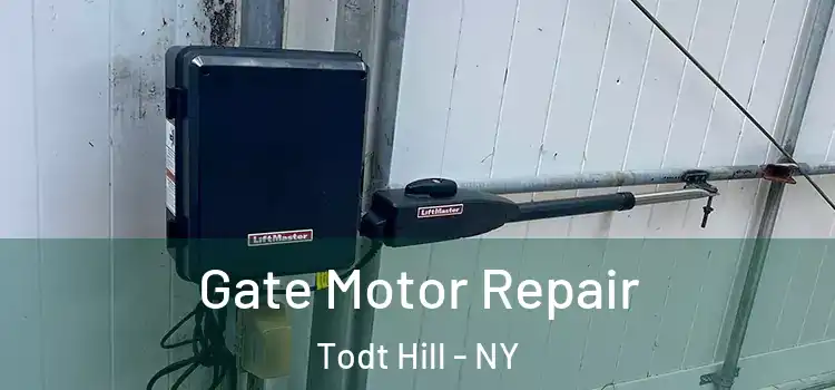 Gate Motor Repair Todt Hill - NY
