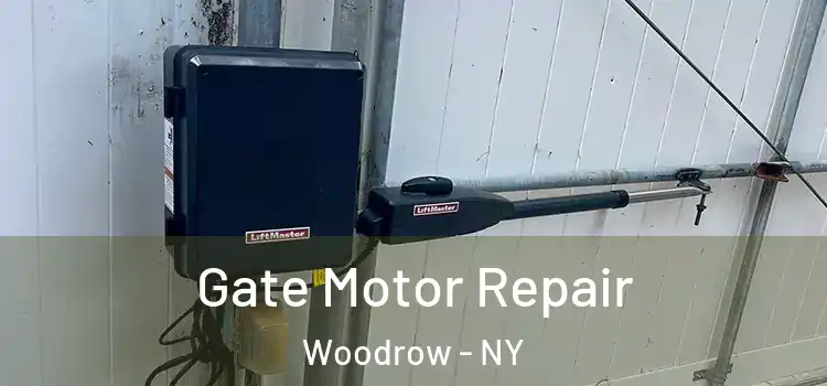  Gate Motor Repair Woodrow - NY