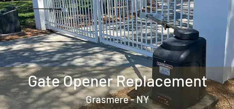  Gate Opener Replacement Grasmere - NY