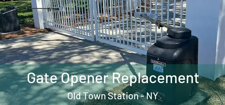  Gate Opener Replacement Old Town Station - NY