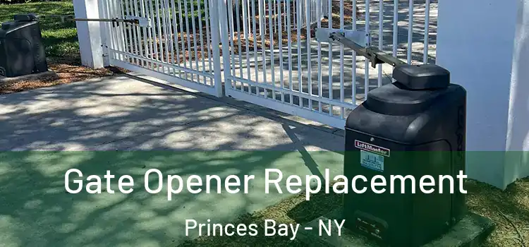  Gate Opener Replacement Princes Bay - NY