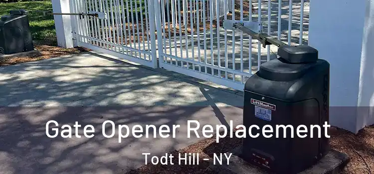  Gate Opener Replacement Todt Hill - NY