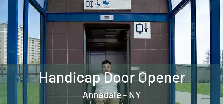  Handicap Door Opener Annadale - NY