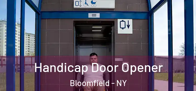 Handicap Door Opener Bloomfield - NY