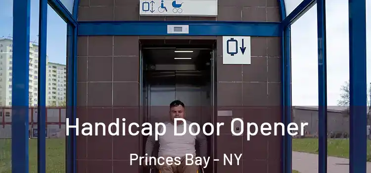  Handicap Door Opener Princes Bay - NY