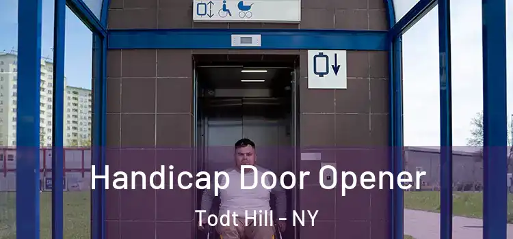  Handicap Door Opener Todt Hill - NY