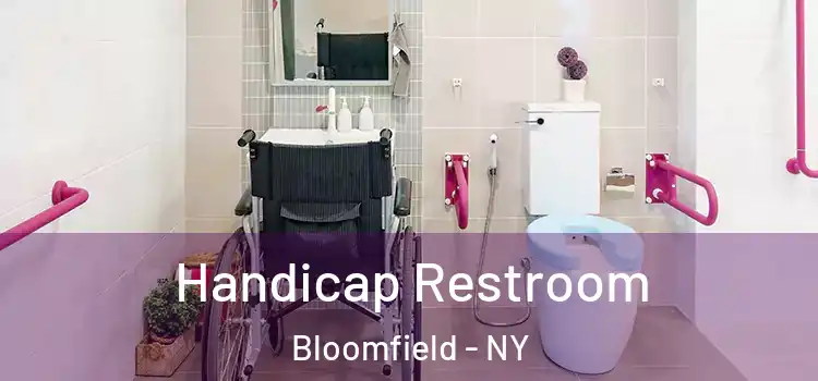  Handicap Restroom Bloomfield - NY
