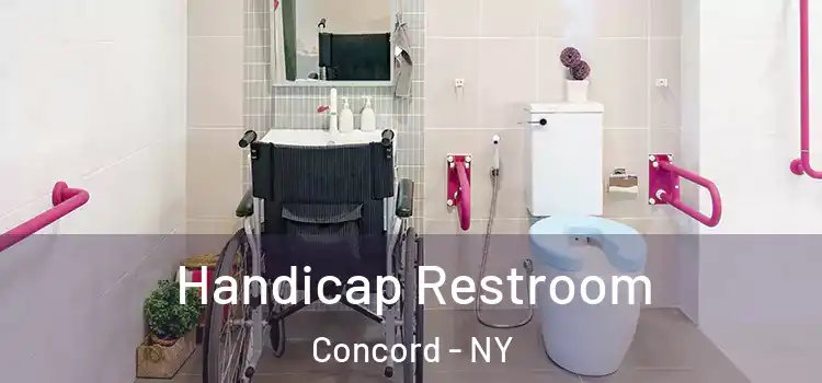  Handicap Restroom Concord - NY