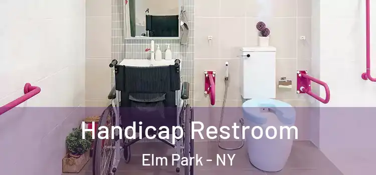 Handicap Restroom Elm Park - NY