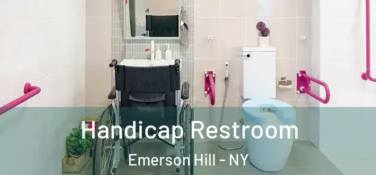  Handicap Restroom Emerson Hill - NY