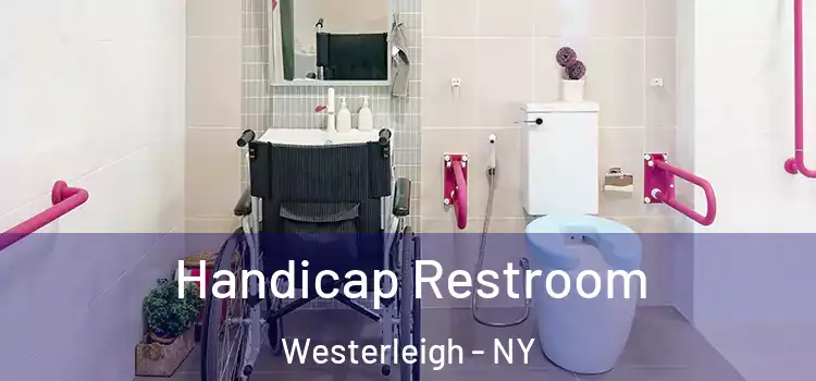  Handicap Restroom Westerleigh - NY