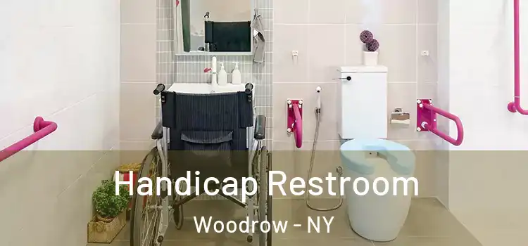 Handicap Restroom Woodrow - NY