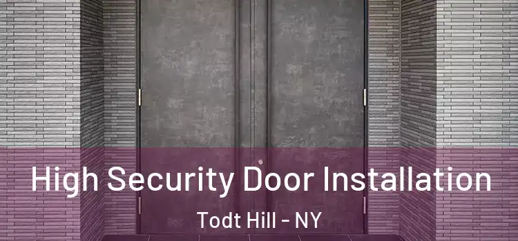  High Security Door Installation Todt Hill - NY