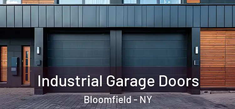 Industrial Garage Doors Bloomfield - NY