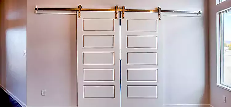 Glass Barn Door with Installation Hardware Kit Staten Island