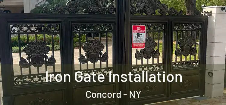  Iron Gate Installation Concord - NY