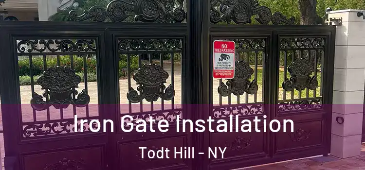  Iron Gate Installation Todt Hill - NY