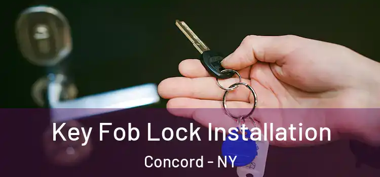 Key Fob Lock Installation Concord - NY