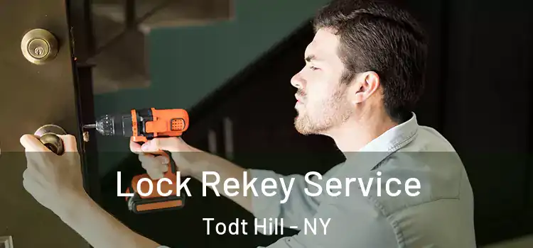  Lock Rekey Service Todt Hill - NY