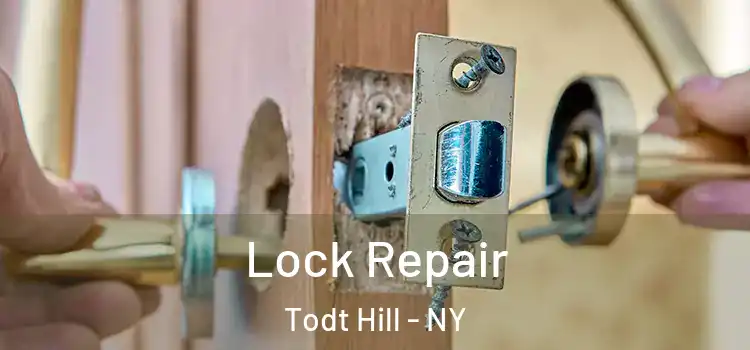  Lock Repair Todt Hill - NY