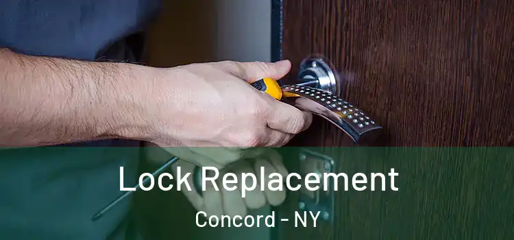  Lock Replacement Concord - NY