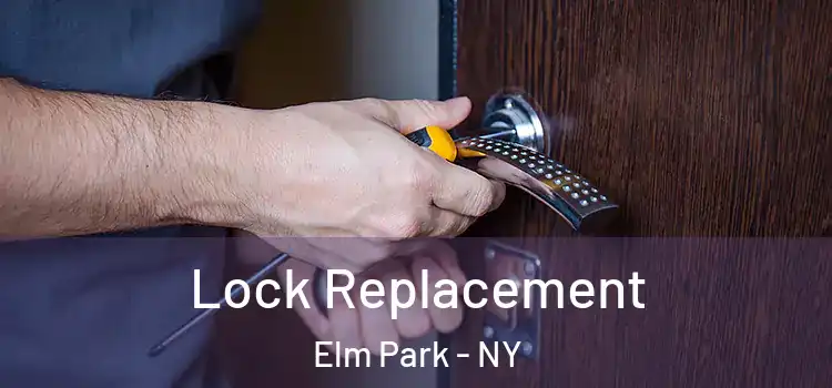  Lock Replacement Elm Park - NY