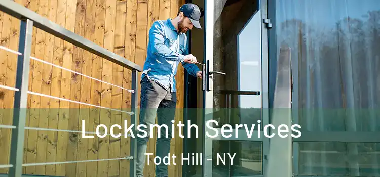  Locksmith Services Todt Hill - NY