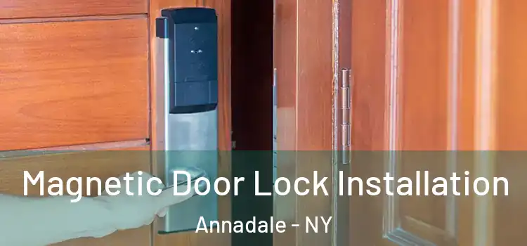  Magnetic Door Lock Installation Annadale - NY