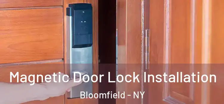  Magnetic Door Lock Installation Bloomfield - NY