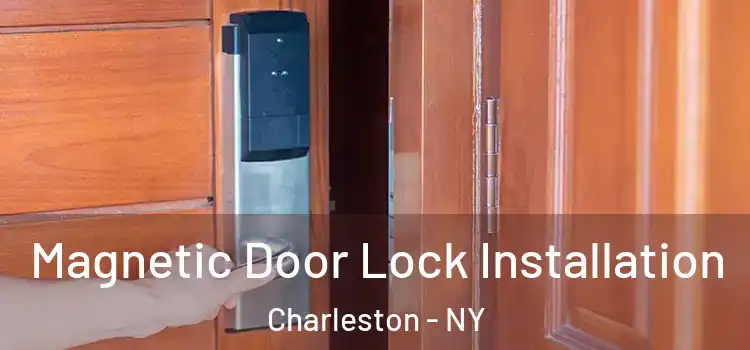  Magnetic Door Lock Installation Charleston - NY