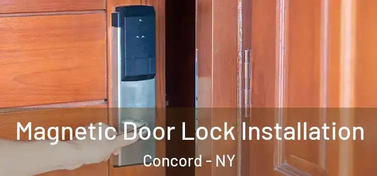  Magnetic Door Lock Installation Concord - NY