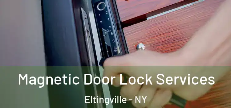 Magnetic Door Lock Services Eltingville - NY