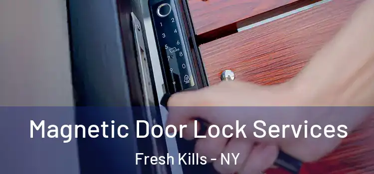 Magnetic Door Lock Services Fresh Kills - NY