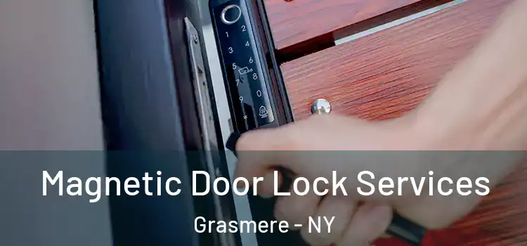  Magnetic Door Lock Services Grasmere - NY