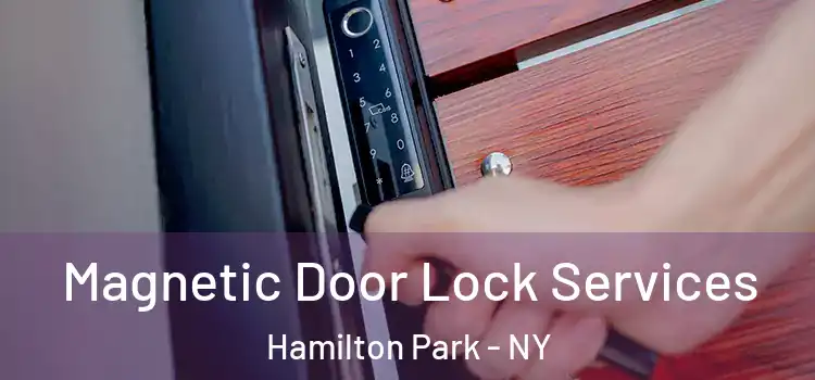  Magnetic Door Lock Services Hamilton Park - NY
