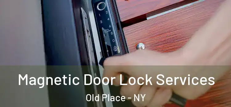  Magnetic Door Lock Services Old Place - NY