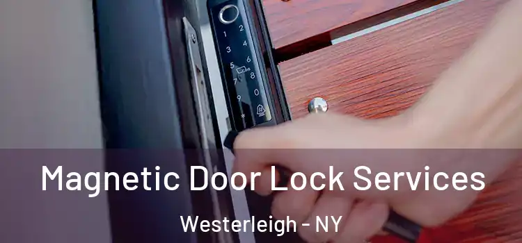  Magnetic Door Lock Services Westerleigh - NY