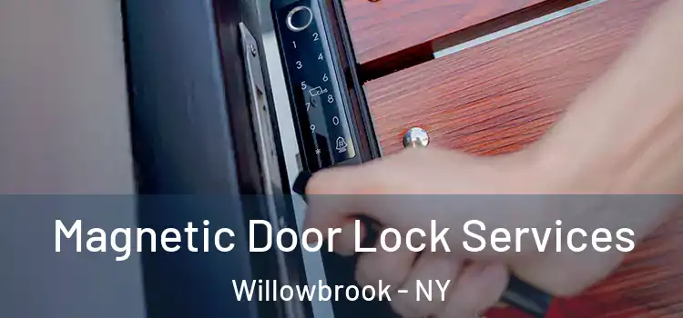  Magnetic Door Lock Services Willowbrook - NY