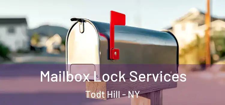  Mailbox Lock Services Todt Hill - NY